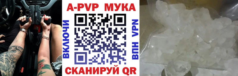Alfa_PVP СК КРИС  Аша 