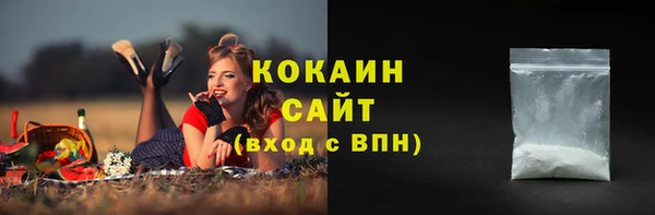 прущие крисы Арсеньев
