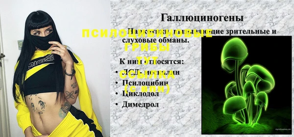 прущие крисы Арсеньев
