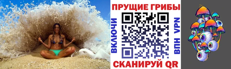 Псилоцибиновые грибы ЛСД  ссылка на мегу ссылки  Аша  что такое  